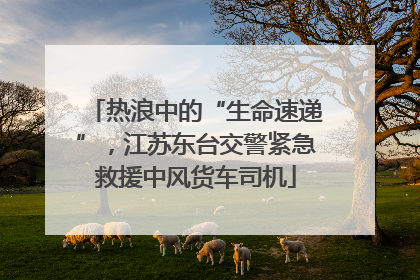 热浪中的“生命速递”，江苏东台交警紧急救援中风货车司机