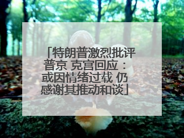 特朗普激烈批评普京 克宫回应：或因情绪过载 仍感谢其推动和谈