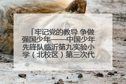 牢记党的教导 争做强国少年——中国少年先锋队临沂第九实验小学（北校区）第三次代表大会胜利召开