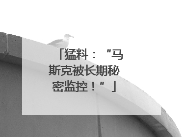 猛料：“马斯克被长期秘密监控！”