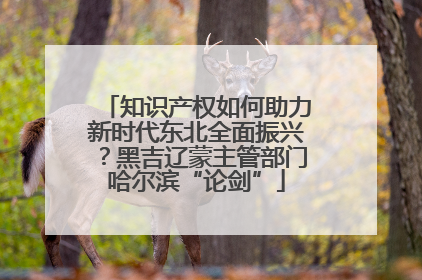 知识产权如何助力新时代东北全面振兴？黑吉辽蒙主管部门哈尔滨“论剑”