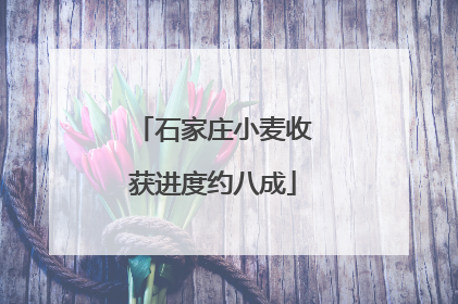 石家庄小麦收获进度约八成