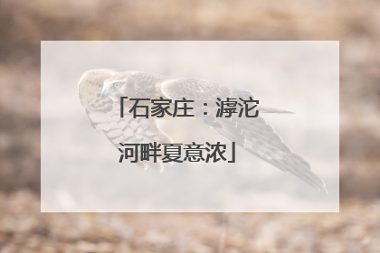 石家庄：滹沱河畔夏意浓