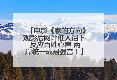 电影《家的方向》观影后网评催人泪下 反应百姓心声 两岸统一成最强音！
