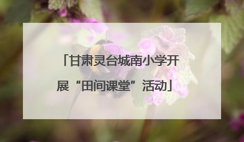 甘肃灵台城南小学开展“田间课堂”活动