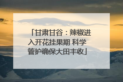 甘肃甘谷：辣椒进入开花挂果期 科学管护确保大田丰收