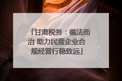 甘肃税务：循法而治 助力民营企业合规经营行稳致远
