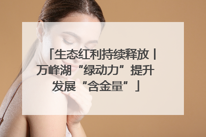 生态红利持续释放丨万峰湖“绿动力”提升发展“含金量”