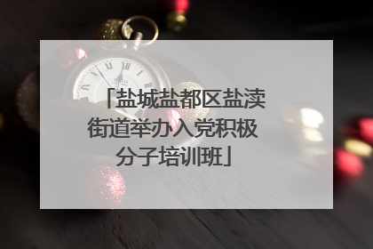 盐城盐都区盐渎街道举办入党积极分子培训班