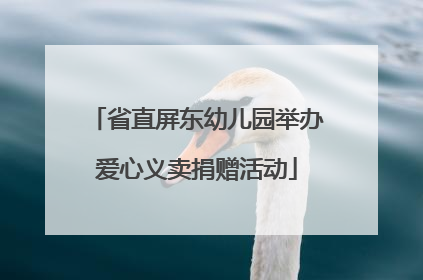 省直屏东幼儿园举办爱心义卖捐赠活动