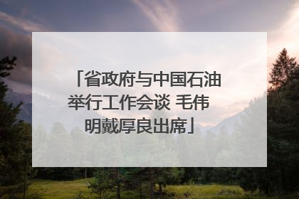 省政府与中国石油举行工作会谈 毛伟明戴厚良出席