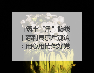 筑牢“汛”防线｜慈利县东岳观镇：用心用情架好党群温暖悠长的“连心桥”