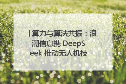 算力与算法共振：浪潮信息携 DeepSeek 推动无人机技术在舟山落地