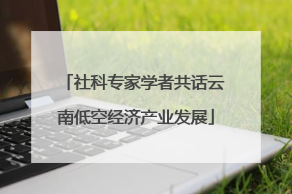 社科专家学者共话云南低空经济产业发展