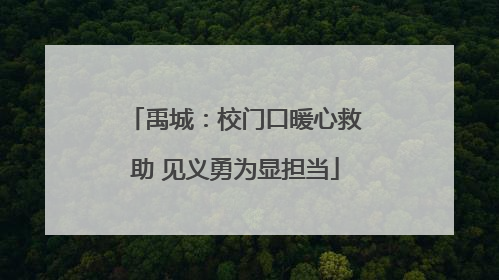 禹城：校门口暖心救助 见义勇为显担当