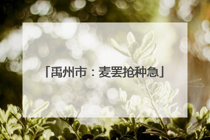 禹州市：麦罢抢种急