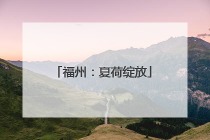 福州：夏荷绽放