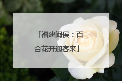 福建闽侯：百合花开迎客来