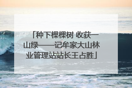 种下棵棵树 收获一山绿——记牟家大山林业管理站站长王占胜
