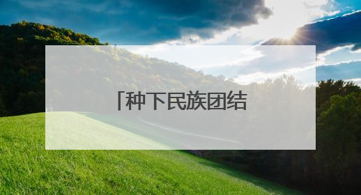 种下民族团结石榴籽 培育司法共治和谐花