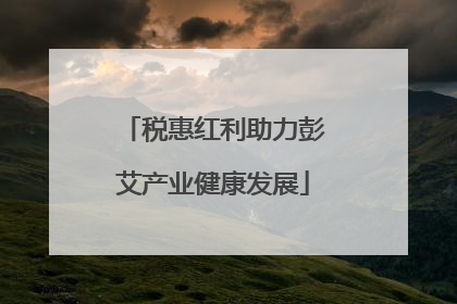 税惠红利助力彭艾产业健康发展