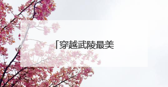 穿越武陵最美风景线，绘就乡村振兴新画卷