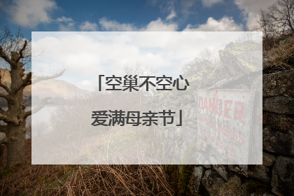 空巢不空心 爱满母亲节