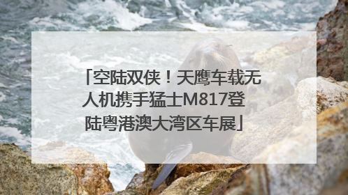 空陆双侠！天鹰车载无人机携手猛士M817登陆粤港澳大湾区车展