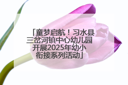 童梦启航！习水县三岔河镇中心幼儿园开展2025年幼小衔接系列活动