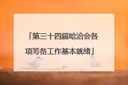 第三十四届哈洽会各项筹备工作基本就绪
