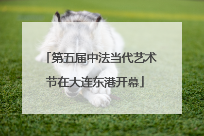第五届中法当代艺术节在大连东港开幕