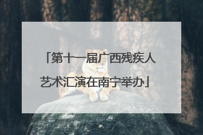 第十一届广西残疾人艺术汇演在南宁举办