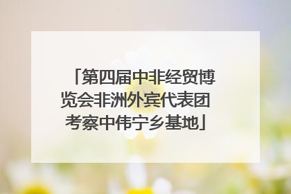 第四届中非经贸博览会非洲外宾代表团考察中伟宁乡基地