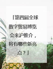第四届全球数字贸易博览会来沪推介，将有哪些新亮点？