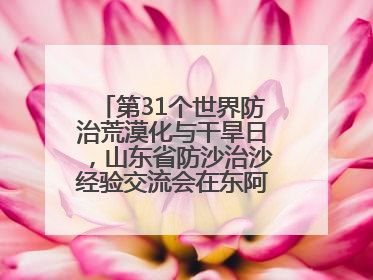 第31个世界防治荒漠化与干旱日，山东省防沙治沙经验交流会在东阿县举办
