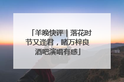 羊晚快评｜落花时节又逢君，睹万梓良酒吧演唱有感