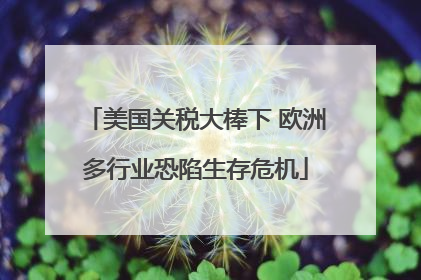 美国关税大棒下 欧洲多行业恐陷生存危机
