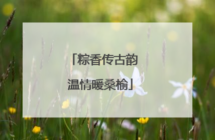 粽香传古韵 温情暖桑榆