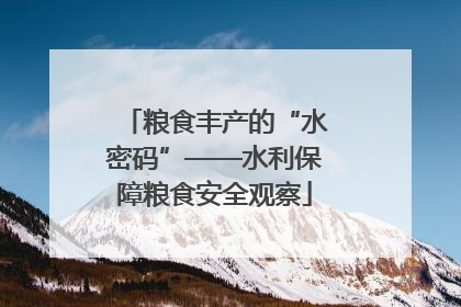 粮食丰产的“水密码”——水利保障粮食安全观察