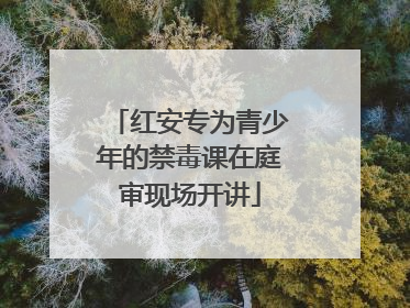 红安专为青少年的禁毒课在庭审现场开讲