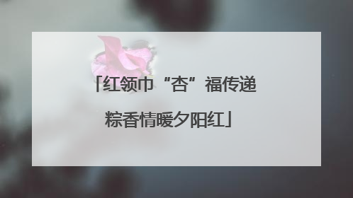 红领巾“杏”福传递 粽香情暖夕阳红