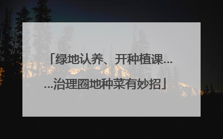 绿地认养、开种植课……治理圈地种菜有妙招