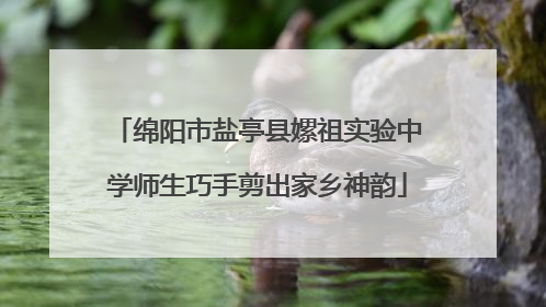 绵阳市盐亭县嫘祖实验中学师生巧手剪出家乡神韵