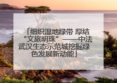 细织湿地绿带 厚结“文旅明珠”——中法武汉生态示范城挖掘绿色发展新动能