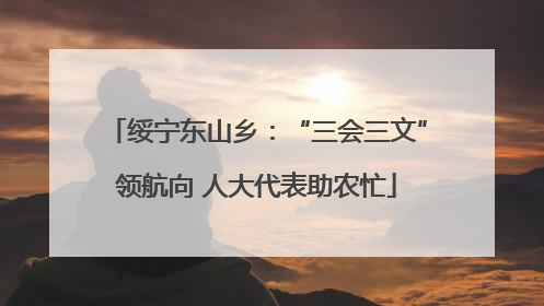 绥宁东山乡：“三会三文”领航向 人大代表助农忙