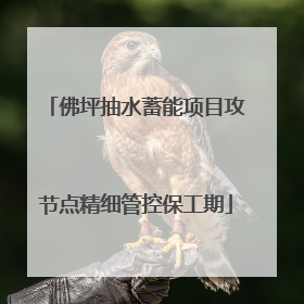佛坪抽水蓄能项目攻节点精细管控保工期