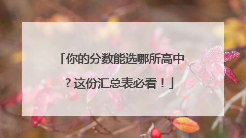 你的分数能选哪所高中？这份汇总表必看！