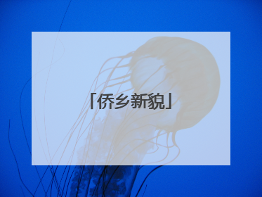 侨乡新貌