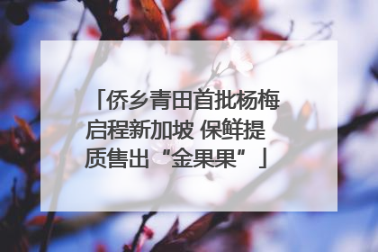 侨乡青田首批杨梅启程新加坡 保鲜提质售出“金果果”