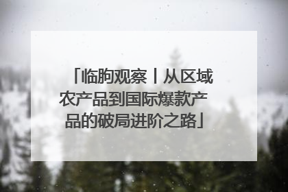 临朐观察丨从区域农产品到国际爆款产品的破局进阶之路